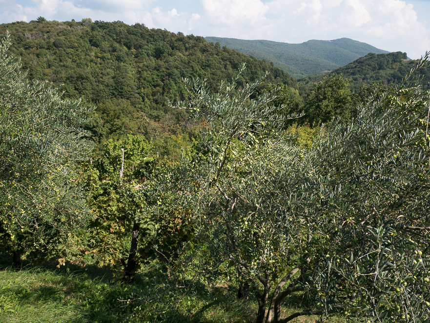 Blick über die Hügel Richtung Slowenien